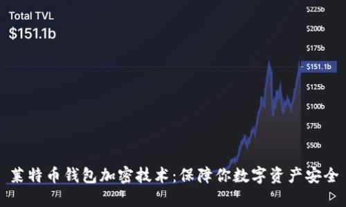 莱特币钱包加密技术：保障你数字资产安全