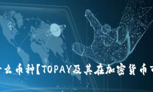 TOPAY是什么币种？TOPAY及其在加密货币市场的表现