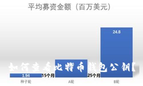 如何查看比特币钱包公钥？