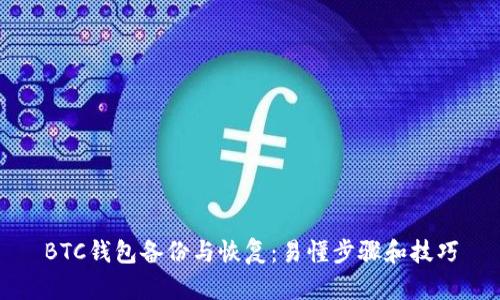 BTC钱包备份与恢复：易懂步骤和技巧