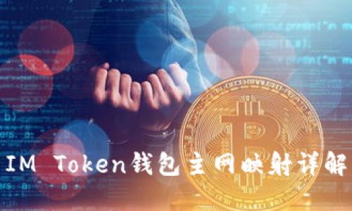 IM Token钱包主网映射详解