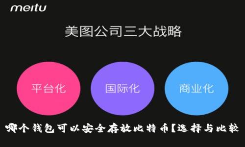 哪个钱包可以安全存放比特币？选择与比较