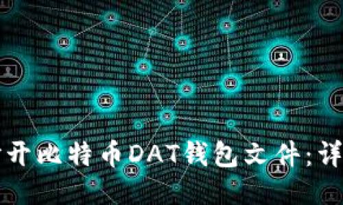 如何打开比特币DAT钱包文件：详尽指南