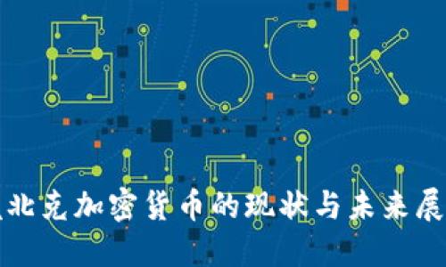 魁北克加密货币的现状与未来展望