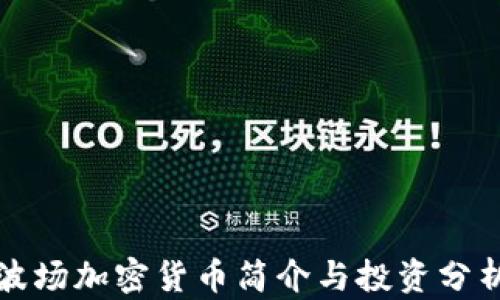 
波场加密货币简介与投资分析