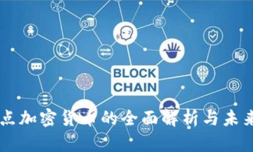 点对点加密货币的全面解析与未来展望