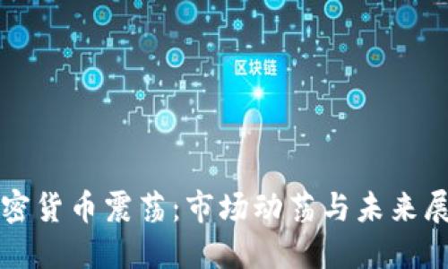 加密货币震荡：市场动荡与未来展望