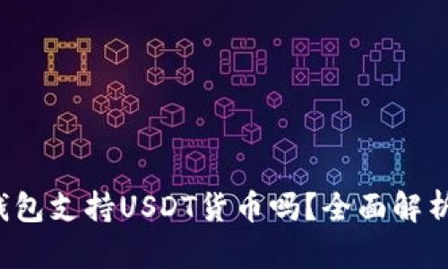  购宝钱包支持USDT货币吗？全面解析与指南