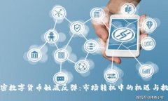 加密数字货币触底反弹：市场转机中的机遇与挑
