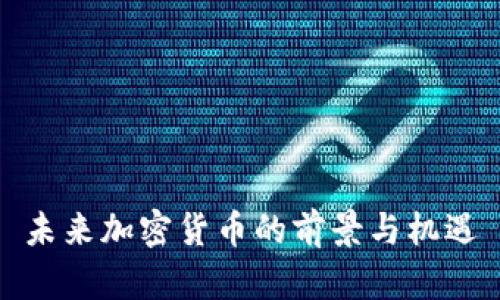 未来加密货币的前景与机遇