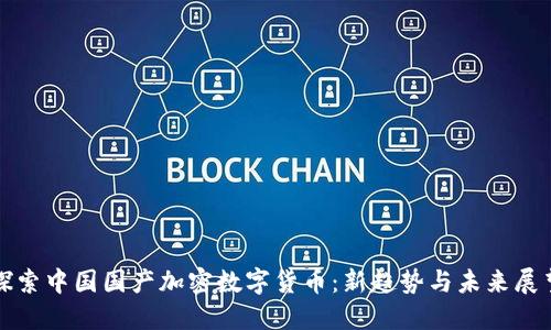 探索中国国产加密数字货币：新趋势与未来展望