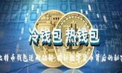 比特币钱包逆向破解：揭秘数字货币背后的秘密