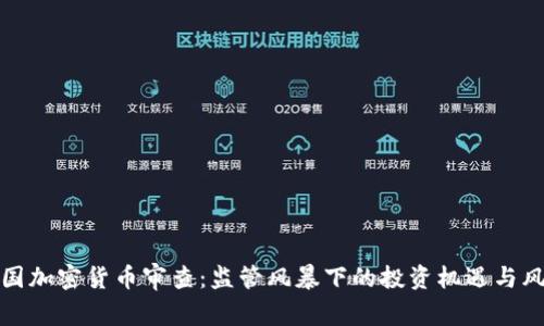 美国加密货币审查：监管风暴下的投资机遇与风险