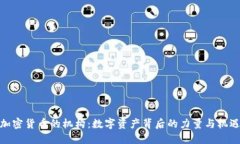 加密货币的机构：数字资产背后的力量与机遇