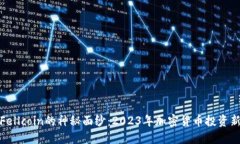 揭开Fellcoin的神秘面纱：2023年加密货币投资新趋