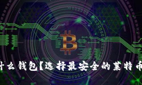 : LTC放什么钱包？选择最安全的莱特币钱包指南