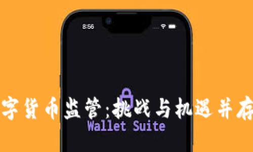 加密数字货币监管：挑战与机遇并存的未来