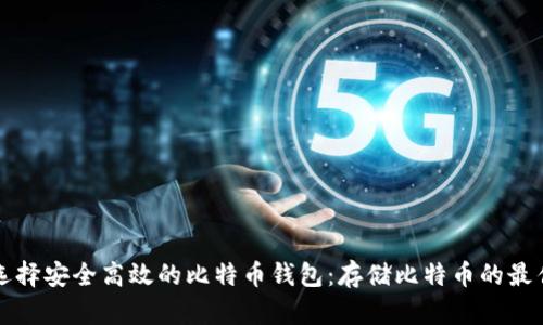 如何选择安全高效的比特币钱包：存储比特币的最佳实践