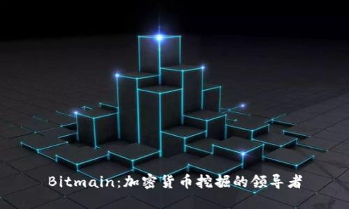 Bitmain：加密货币挖掘的领导者