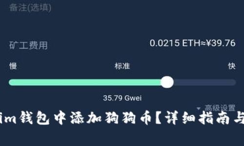 如何在Token.im钱包中添加狗狗币？详细指南与常见问题解答