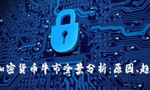 2020年加密货币牛市全景分析：原因、趋势与影响