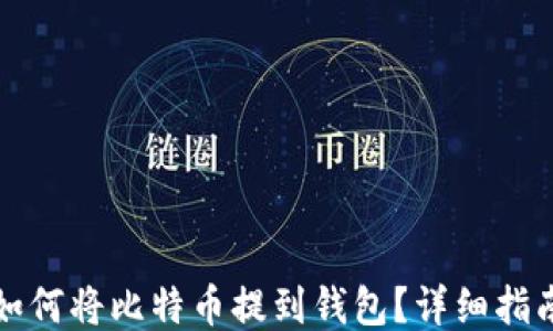 
如何将比特币提到钱包？详细指南