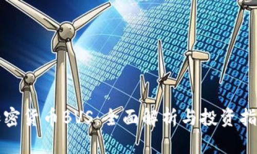 加密货币BVS：全面解析与投资指南