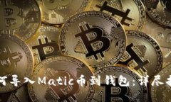 如何导入Matic币到钱包：详尽指南