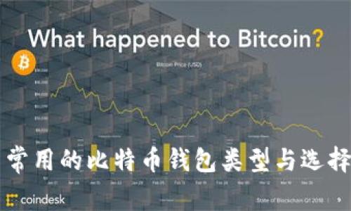 美国常用的比特币钱包类型与选择指南