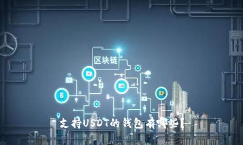 支持USDT的钱包有哪些？