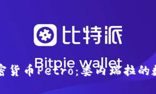 深入了解加密货币Petro：委内瑞拉的数字货币探索