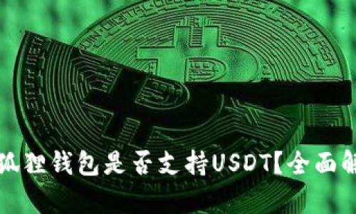 小狐狸钱包是否支持USDT？全面解析