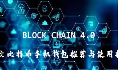 中文比特币手机钱包推荐与使用指南