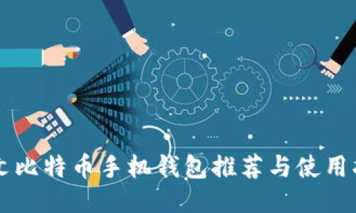 中文比特币手机钱包推荐与使用指南