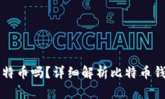 观察钱包能转比特币吗？详细解析比特币钱包的