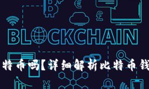 观察钱包能转比特币吗？详细解析比特币钱包的功能与使用