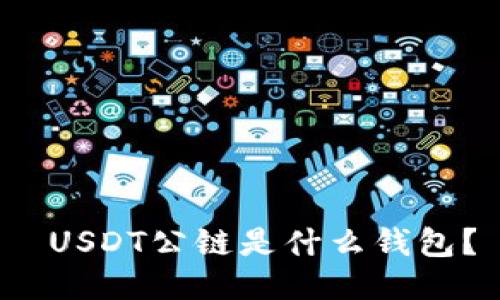 USDT公链是什么钱包？