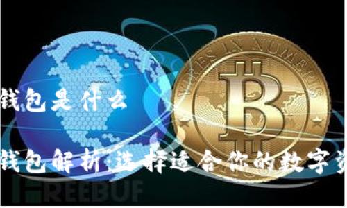 主流比特币钱包是什么

主流比特币钱包解析：选择适合你的数字资产管理工具