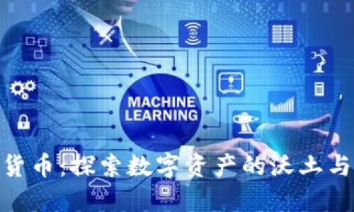 加密货币：探索数字资产的沃土与机遇