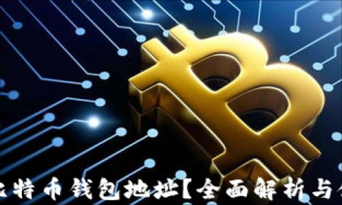 
什么是比特币钱包地址？全面解析与使用指南