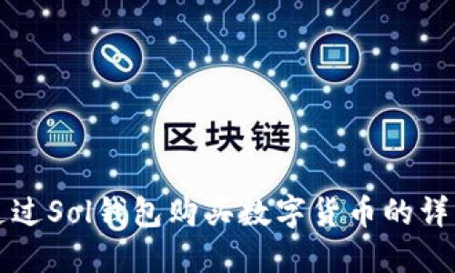 如何通过Sol钱包购买数字货币的详细指南