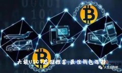 大额USDT存储推荐：最佳钱包选择