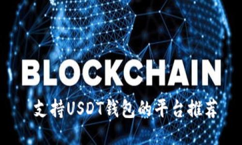  支持USDT钱包的平台推荐