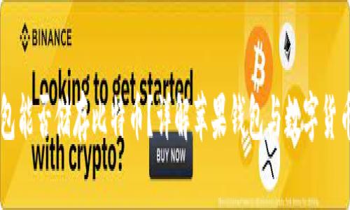 苹果钱包能否储存比特币？详解苹果钱包与数字货币的关系