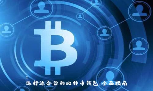 :
选择适合你的比特币钱包：全面指南