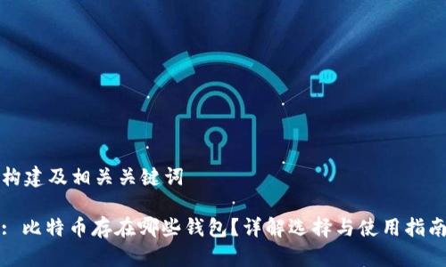 构建及相关关键词

: 比特币存在哪些钱包？详解选择与使用指南